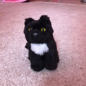 COPY - Caroline’s cat, Inkpot